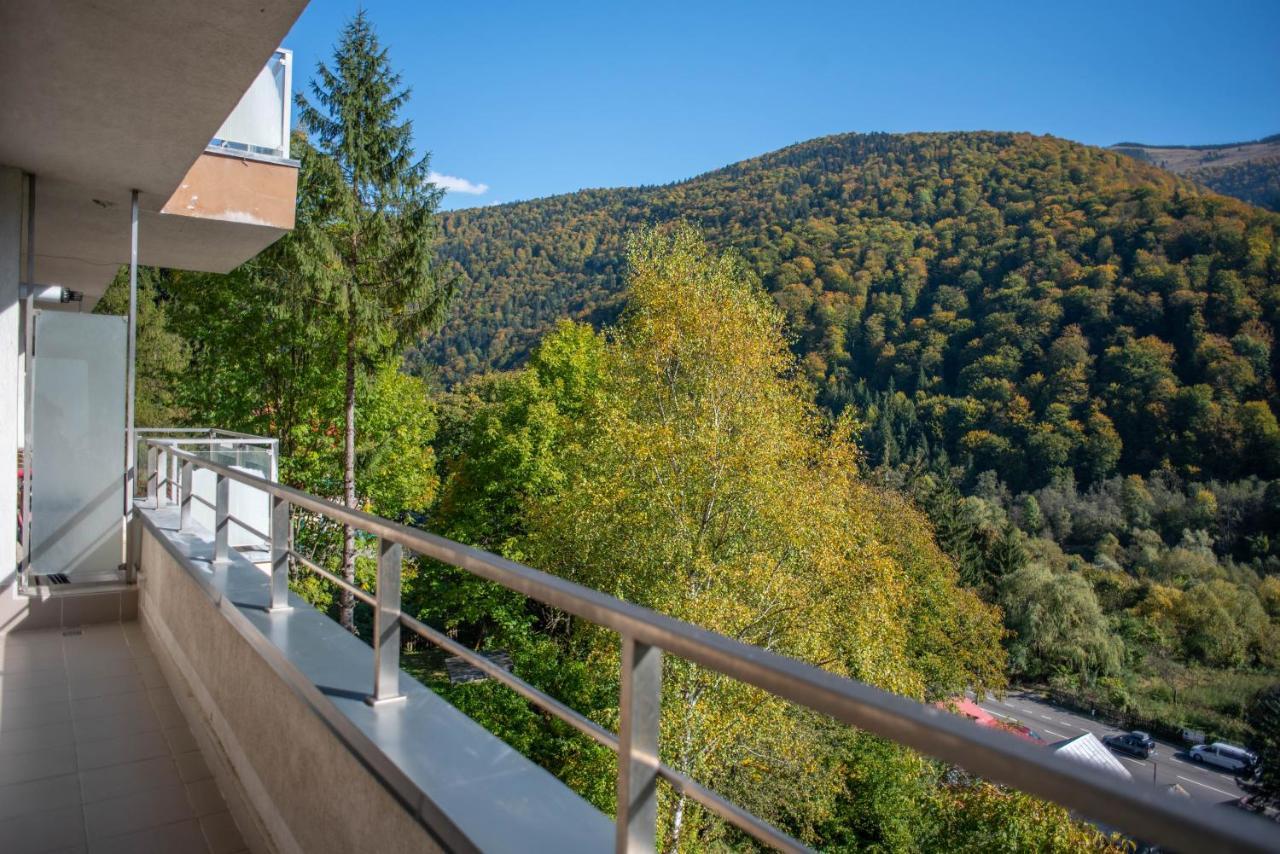 Blue Forest Studio Sinaia Exterior foto
